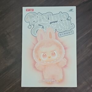AUTHENTIC Pop Mart Big into Energy Plush Pendant Blind Box